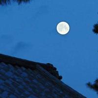 没有危机,才是最大的危机