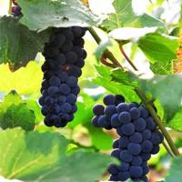 如果时间可以倒流,可以早点说爱我吗?