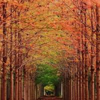 霸气正能量早安句子短句心情，早安短句