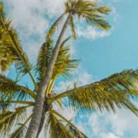 3.12植树节祝福语唯美句子大全