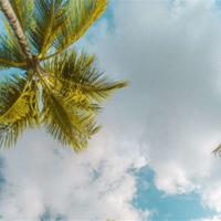 读懂自己才能读懂这个世界