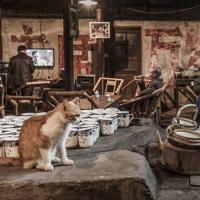 32条几米经典语录