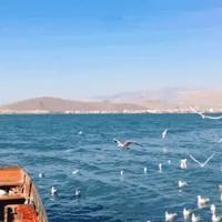 人生感悟:放下即平地