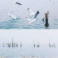 100句正能量的句子早安语录