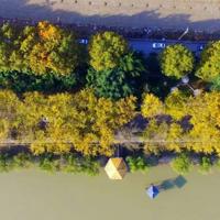 成语大全:关于学习的成语85个