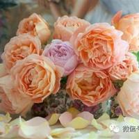 100句唯美感慨人生的句子 唯美短句