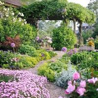 伤感句子表达心情失落,伤感句子