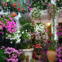 诗情画意的唯美句子 诗意短句