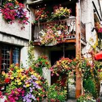 俞敏洪的经典语录 这个社会,是快鱼吃慢鱼,而不是慢鱼吃快鱼