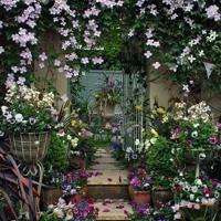 安妮宝贝爱情语句 爱情同样也是一种生活方式,而非理想