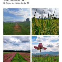 关于下雨的心情短句子,下雨句子