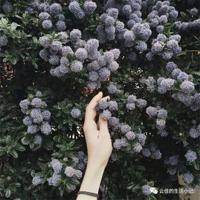 唯美句子摘抄短语_唯美语录