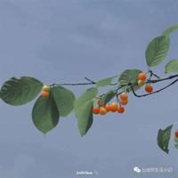 岁月渐远，已是尘满面