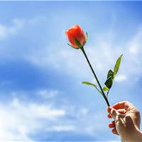 心形唯美意境图片_心中对你满满的爱