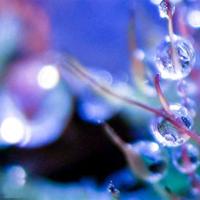 春天来了,你愿意和我一起,像风一样奔跑吗?