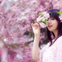 寻找,那已失落的世界