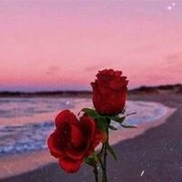 一个唯美的校园感人爱情故事
