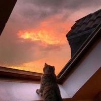 100条几米经典语录