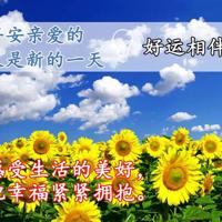 我爱我家