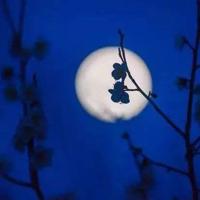 最深沉人生感悟的句子|感悟句子