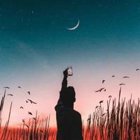 灰太狼和红太狼的经典对话