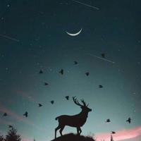 丢了的自己,只能慢慢捡回来。唯美人生感悟语录