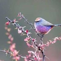 这个季节,我们分后吧