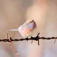 实现美好人生，从极简思维开始