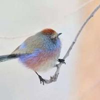 时间总会过去的,让时间流走你的烦恼吧。伤心难过的句子