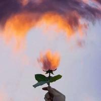 疼痛也是一种幸福