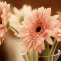 100句精选的早安短句/早安短句