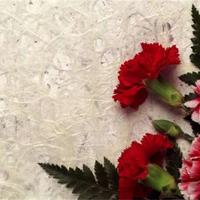 奈良走遍 你不在我身边