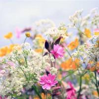 渐渐淡忘的年味