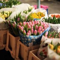 家庭教育名言,关于家庭教育的格言警句