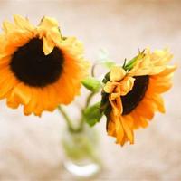 2011春节发的最搞笑的短信笑话