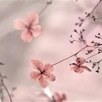 关于许嵩的经典语录 在城市的尽头,看喷泉池的细水长流