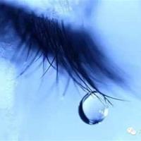 早餐、午餐和晚餐