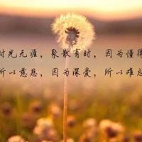 秋雨,在迷乱的思绪中飞扬