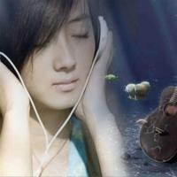 不打扰彼此,是最好的结束