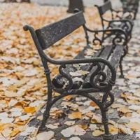 那些越想炫耀自己的人，往往生活过得越糟糕