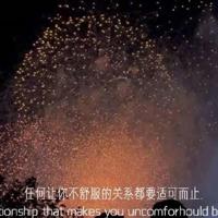 有关于元稹的经典诗句 元稹句子