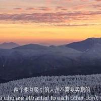 谁愿遇见,渐行渐远渐无书