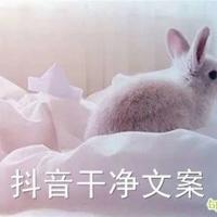 很庆幸可以走到你身边,很遗憾没能走进你心里。