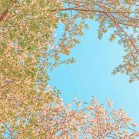 有时候,等一点也不可怕,老天让你等