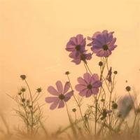 亲爱的,下辈子我一定要让你做我老婆。看完不许哭哦