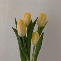 毕业了,给爱一个交代