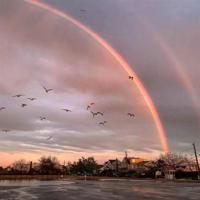 别人问你早上好的回复/早安短句