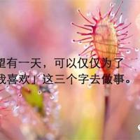 形容心情好的优美句子,心情一句话