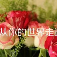 留一份沉默给自己