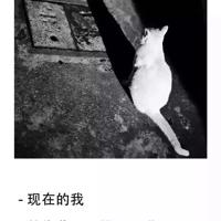 我多想抱着你哭_1